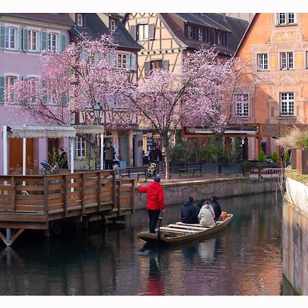 Maison Avec Terrasse Colmar Centre-Cottage Garden Terrace Center Old Town Colmar Exterior photo
