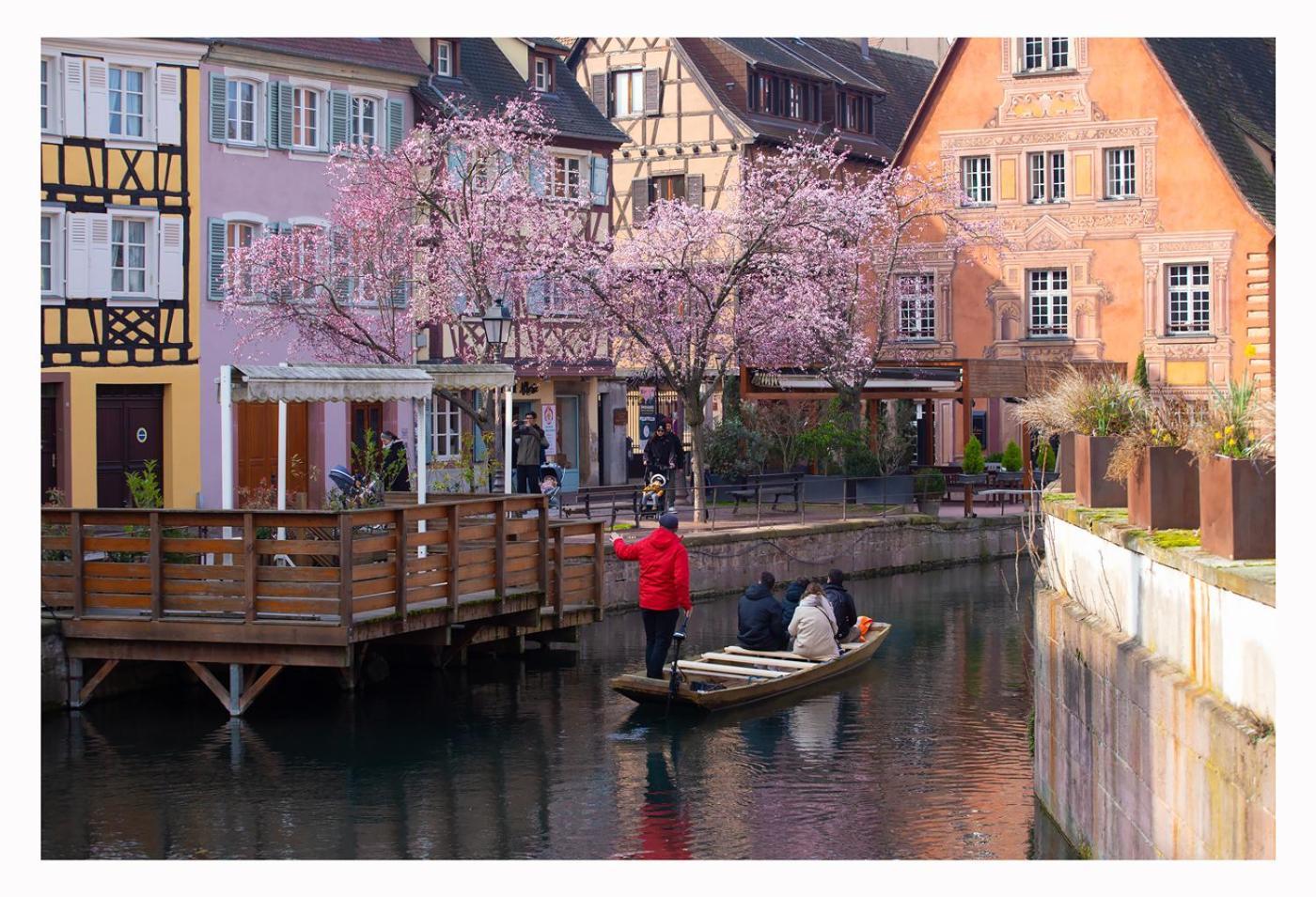Maison Avec Terrasse Colmar Centre-Cottage Garden Terrace Center Old Town Colmar Exterior photo
